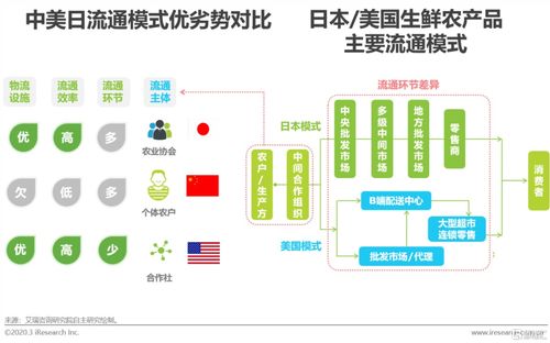 回顧與展望 2020年中國生鮮農(nóng)產(chǎn)品供應(yīng)鏈研究報告解析